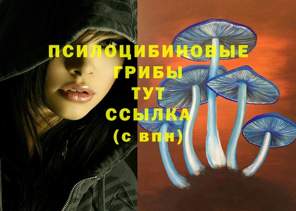 а пвп мука Армянск