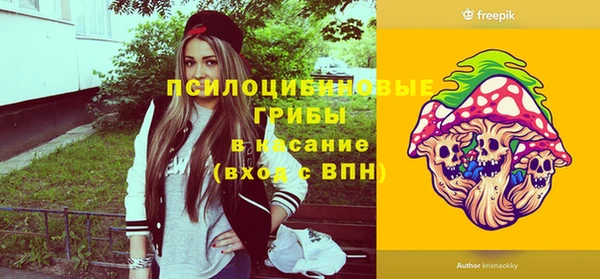 ешки Арсеньев