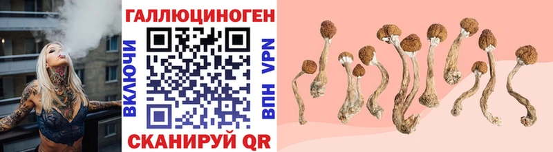 Галлюциногенные грибы GOLDEN TEACHER  купить   Печоры 